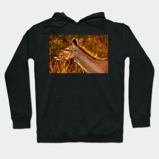 Kruger Kudu Hoodie